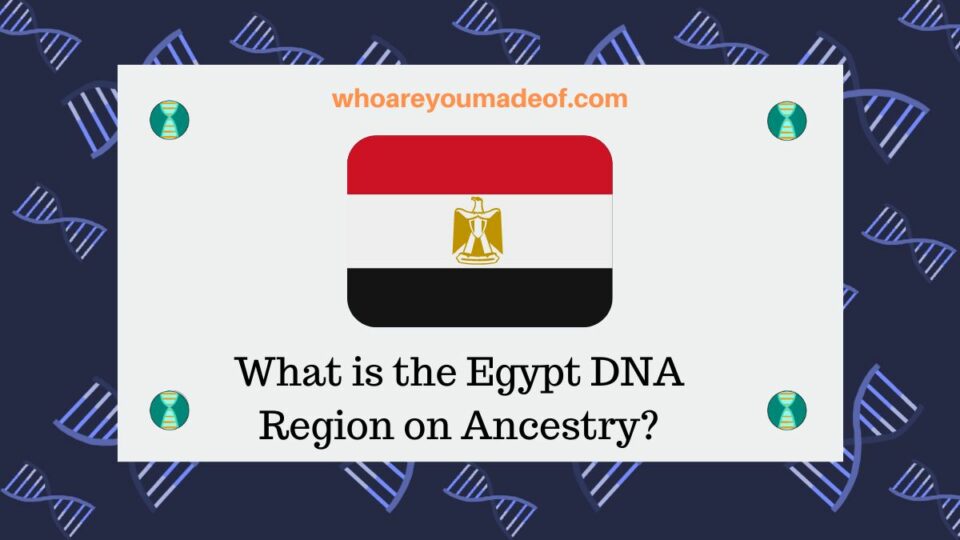 What is the Egypt DNA Region on Ancestry? Who are You Made Of?