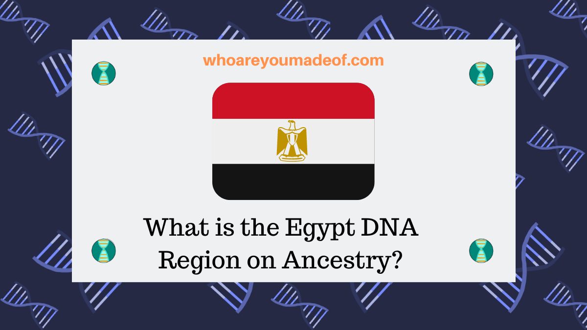 What is the Egypt DNA Region on Ancestry? Who are You Made Of?
