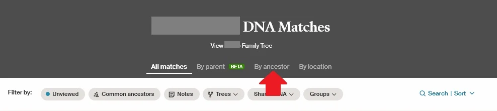 Where to find DNA matches grouped by ancestor on your DNA match list.  It is currently between the DNA matches grouped by parent and by location.  