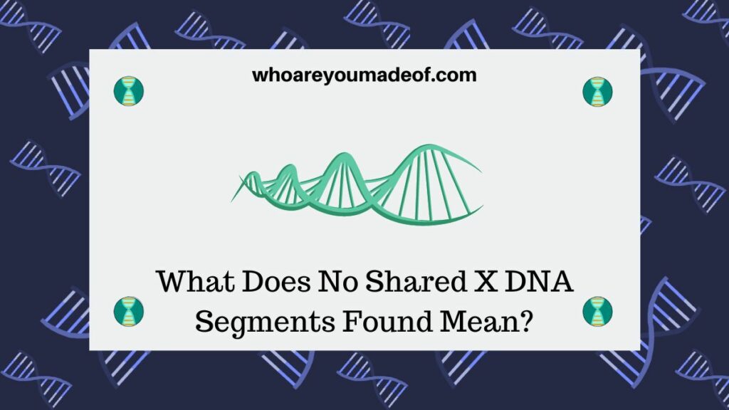 What Does No Shared X DNA Segments Found Mean?