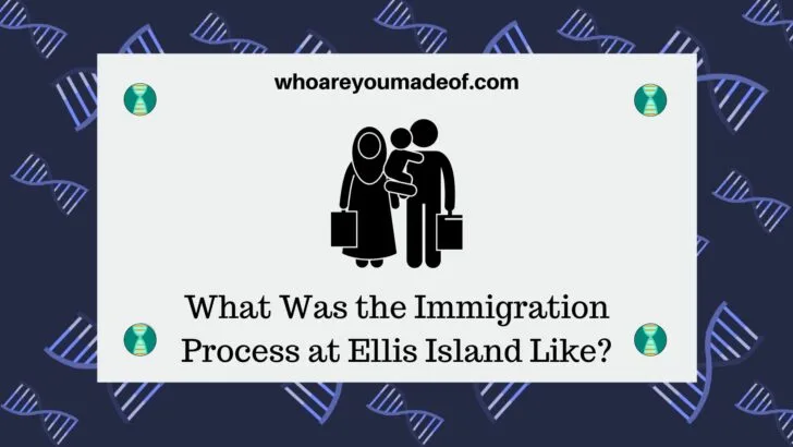 What Was the Immigration Process at Ellis Island Like?