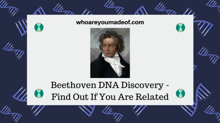Beethoven DNA Discovery - Find Out If You Are Related - Who are You