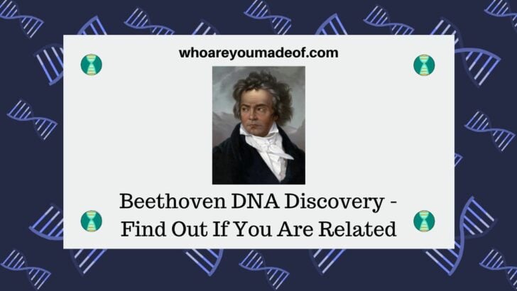 Beethoven DNA Discovery - Find Out If You Are Related
