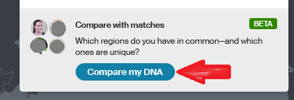 Screen capture from Ancestry DNA results showing the blue Compare my DNA button with a red arrow pointing to it