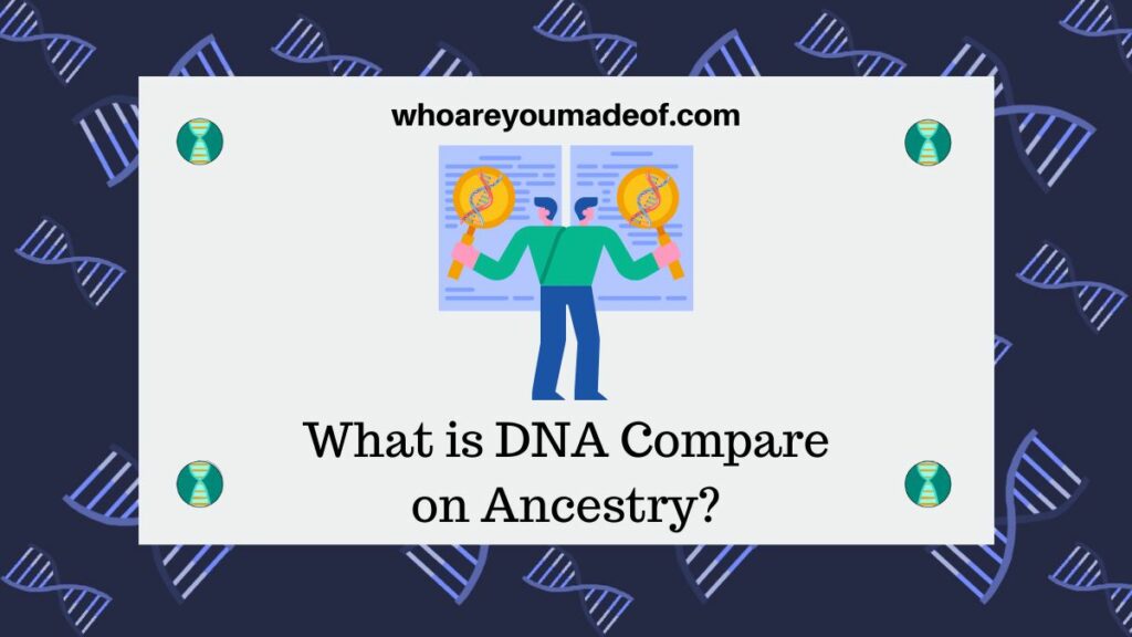 Decorative image featuring the text What is DNA Compare on Ancestry along with a graphic of a man comparing 