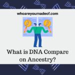 What is DNA Compare on Ancestry
