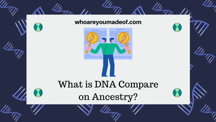 What is DNA Compare on Ancestry