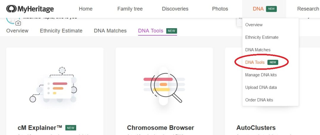 What is the cM Explainer on MyHeritage? - Who are You Made Of?