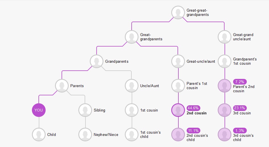 MyHeritage cM Explainer tool results graphic