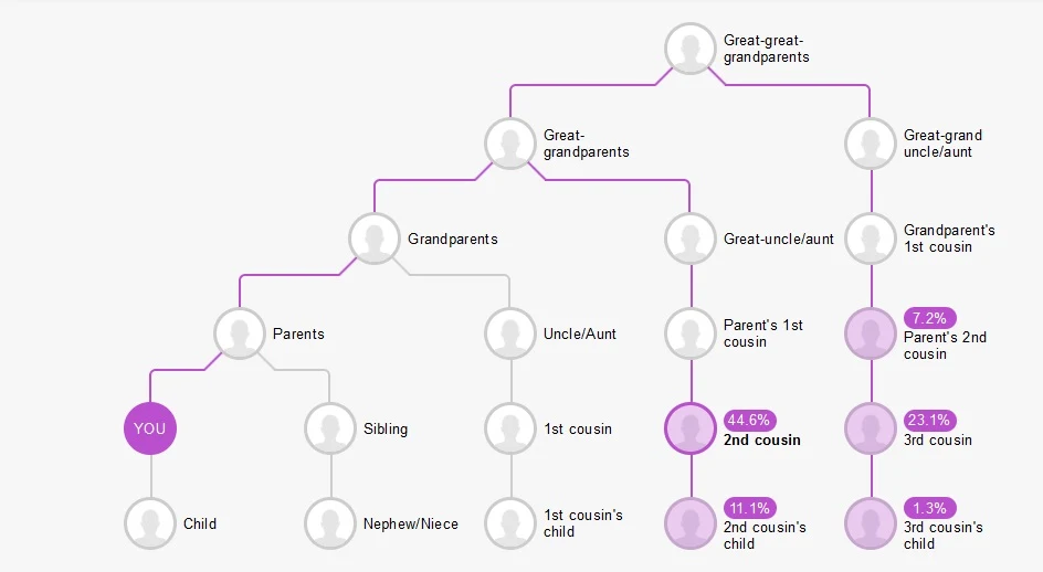 What is the cM Explainer on MyHeritage? - Who are You Made Of?