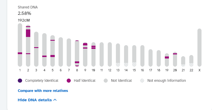 A screen capture of the 23 chromosomes and the DNA segments shared between these two DNA matches