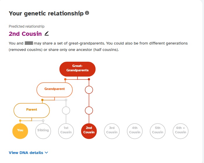 graphic displaying how these two DNA matches are likely descended from the same great-grandparents, with a diagram of the relatives going down through the generations to "You" and the "2nd cousin" to identify where they are in this graphic