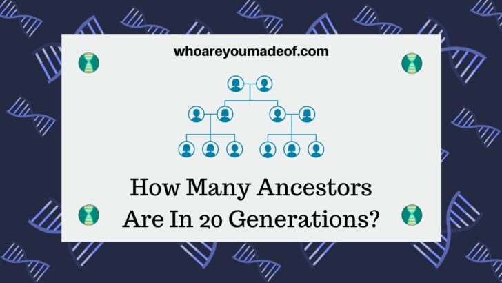 How Many Ancestors Are In 20 Generations?