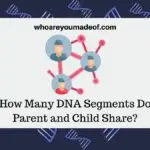 How Many DNA Segments Do Parent and Child Share?