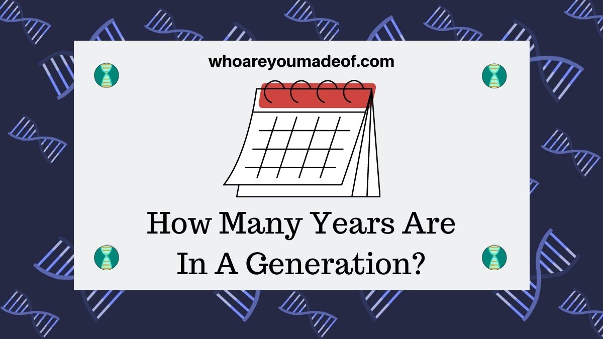 How Many Years Are In A Generation? Who are You Made Of?