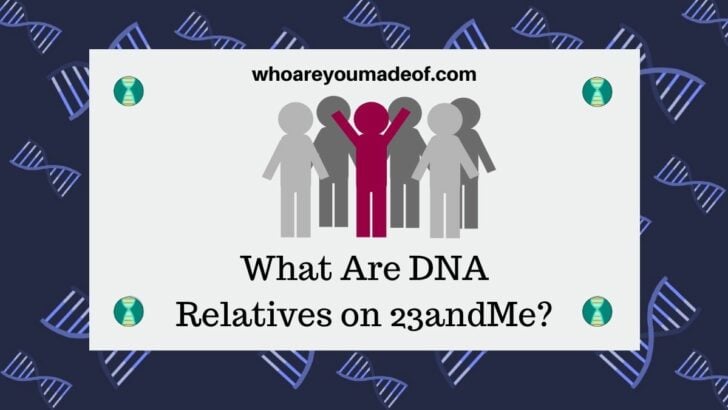 What Are DNA Relatives on 23andMe