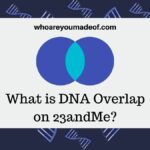 What is DNA Overlap on 23andMe?