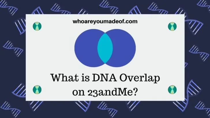 What is DNA Overlap on 23andMe?