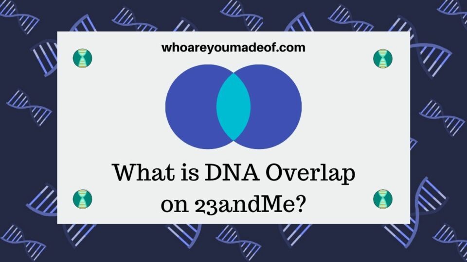 Who are You Made Of? - Use Your Unique DNA to Find Your Roots