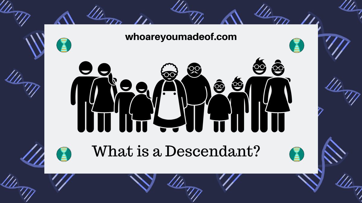 What is a Descendant? - Who are You Made Of?