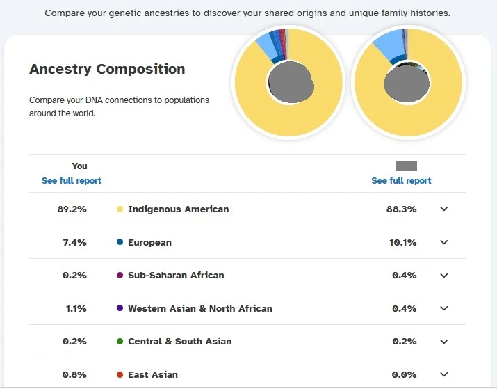 Side by side comparison of Ancestry composition reports, with the largest two regions in common being Indigenous American and European.  These total 86% of both my relative and their DNA match's DNA.  All of the rest of the regions are much smaller percentages of their respective DNA