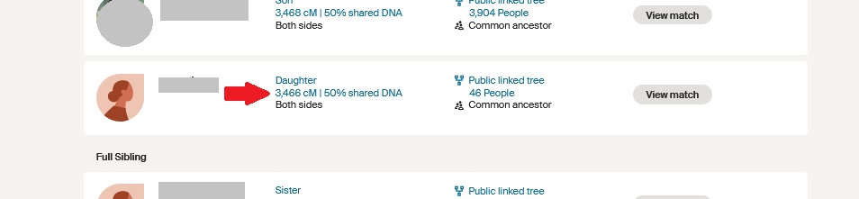 Screen capture from Ancestry DNA list showing three close matches, and a red arrow pointing to a blue text link that shows these matches share 3466 centimorgans with each other, or 50% of their DNA.  If you click on this blue link, it will display more detail about the number of segments shared, unweighted DNA, and the length of the longest segment