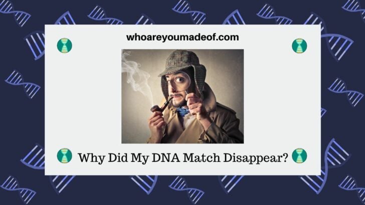 Why Did My DNA Match Disappear?
