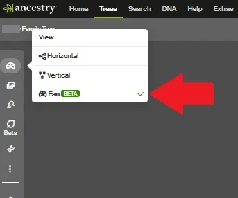 The fan view is currently the third option on the menu that appears when you click on the "view" icon from the Ancestry tree menu 
