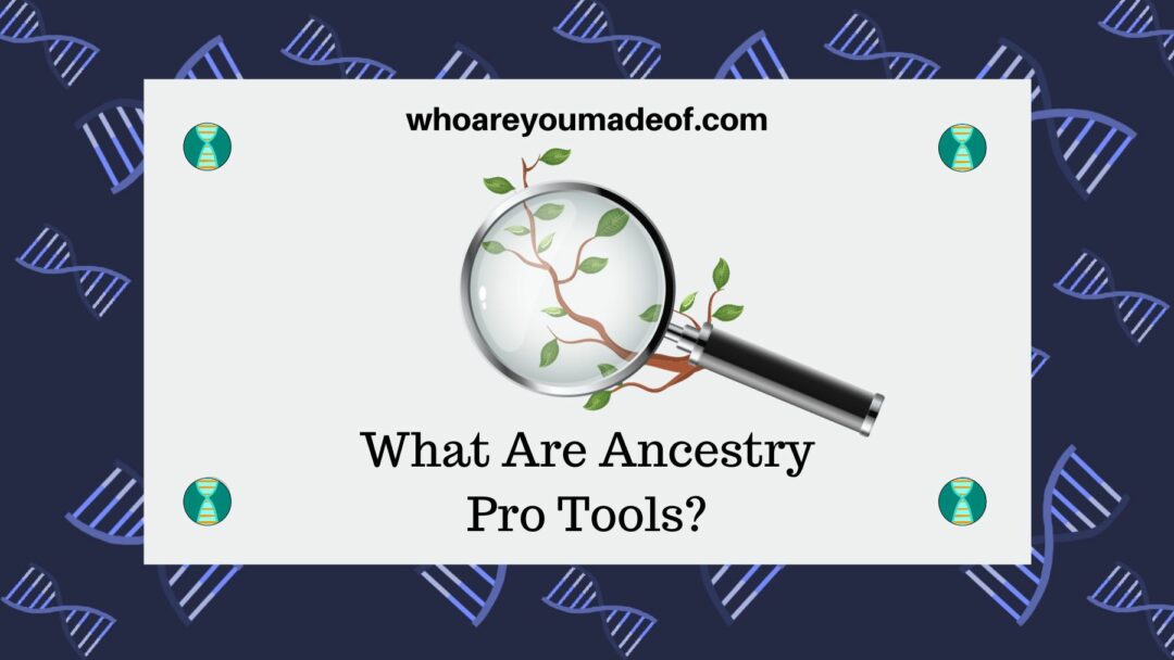 What Are Ancestry Pro Tools? - Who Are You Made Of?