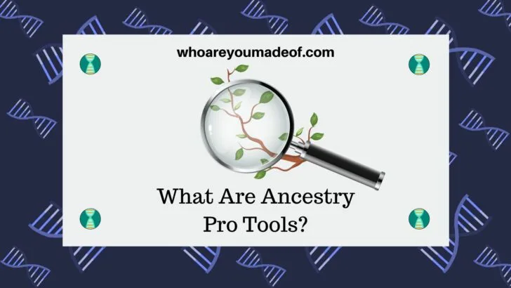 What Are Ancestry Pro Tools?