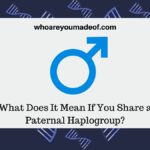 What Does It Mean If You Share a Paternal Haplogroup