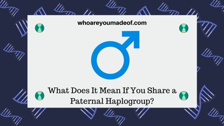 What Does It Mean If You Share a Paternal Haplogroup