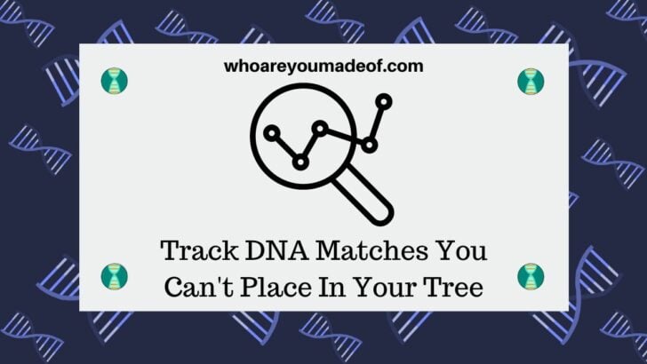 Track DNA Matches You Can't Place In Your Tree