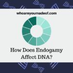 How Does Endogamy Affect DNA