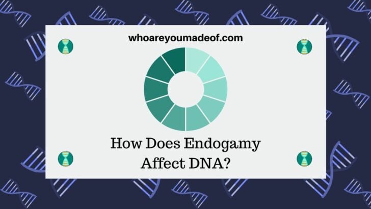 How Does Endogamy Affect DNA