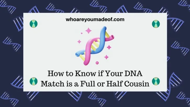 How to Know if Your DNA Match is a Full or Half Cousin