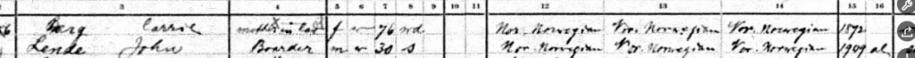 both people on this census form were listed as being from Norway, and so were their parents