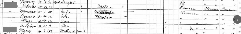 Charles, Wanda, Oscar, Hugo, William, and Mary lived in the same household in 1900