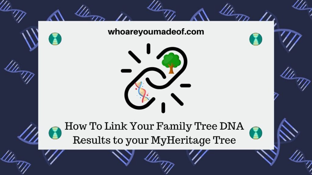 How To Link Your Family Tree DNA Results to your MyHeritage Tree