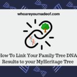 How To Link Your Family Tree DNA Results to your MyHeritage Tree