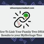 How To Link Your Family Tree DNA Results to your MyHeritage Tree