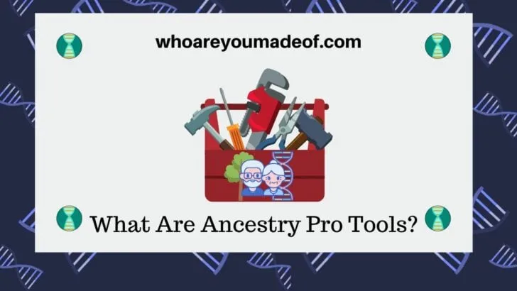 What Are Ancestry Pro Tools