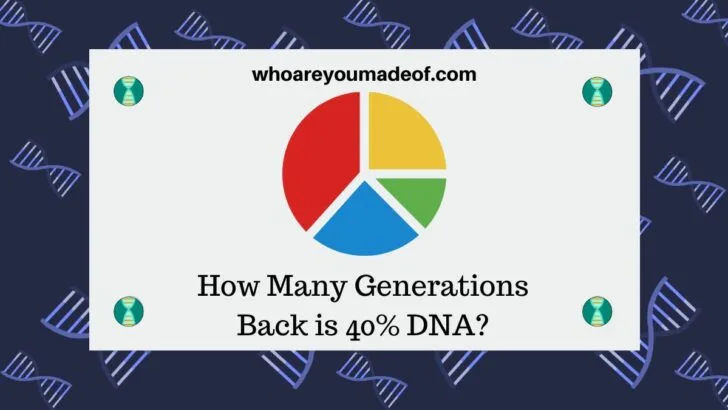 How Many Generations Back is 40% DNA?