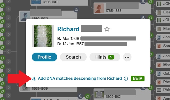 A screen capture from my Ancestry tree,with a red arrow indicating that I should click on the blue "Add DNA matches descending from Richard" text to add DNA matches to my tree on this line