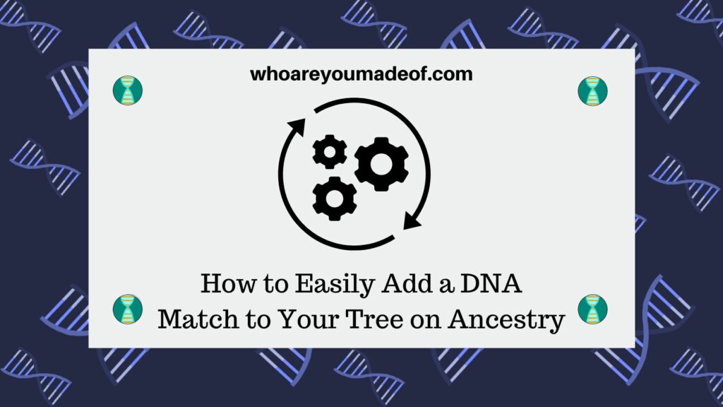 How to Easily Add a DNA Match to Your Tree on Ancestry(1)