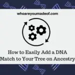 How to Easily Add a DNA Match to Your Tree on Ancestry(1)