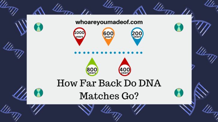 How Far Back Do DNA Matches Go