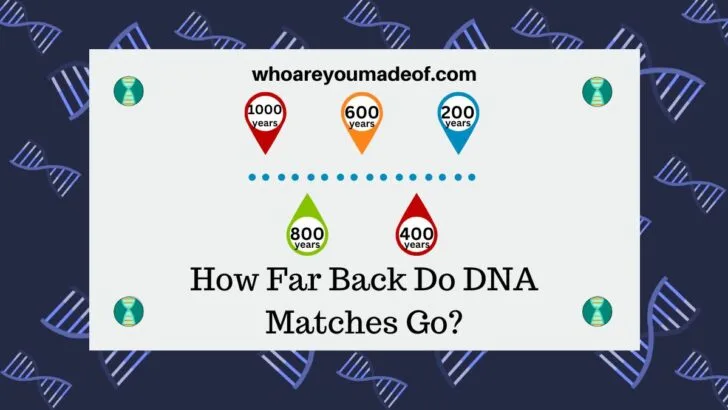 How Far Back Do DNA Matches Go