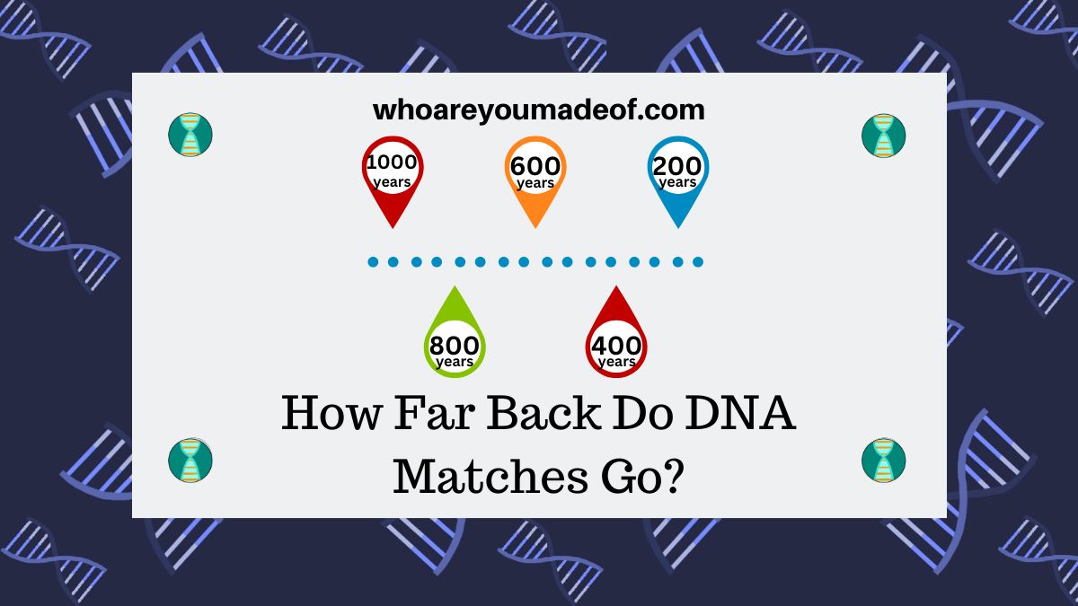 How Far Back Do DNA Matches Go
