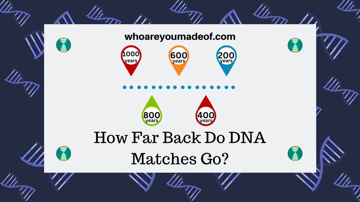 How Far Back Do DNA Matches Go